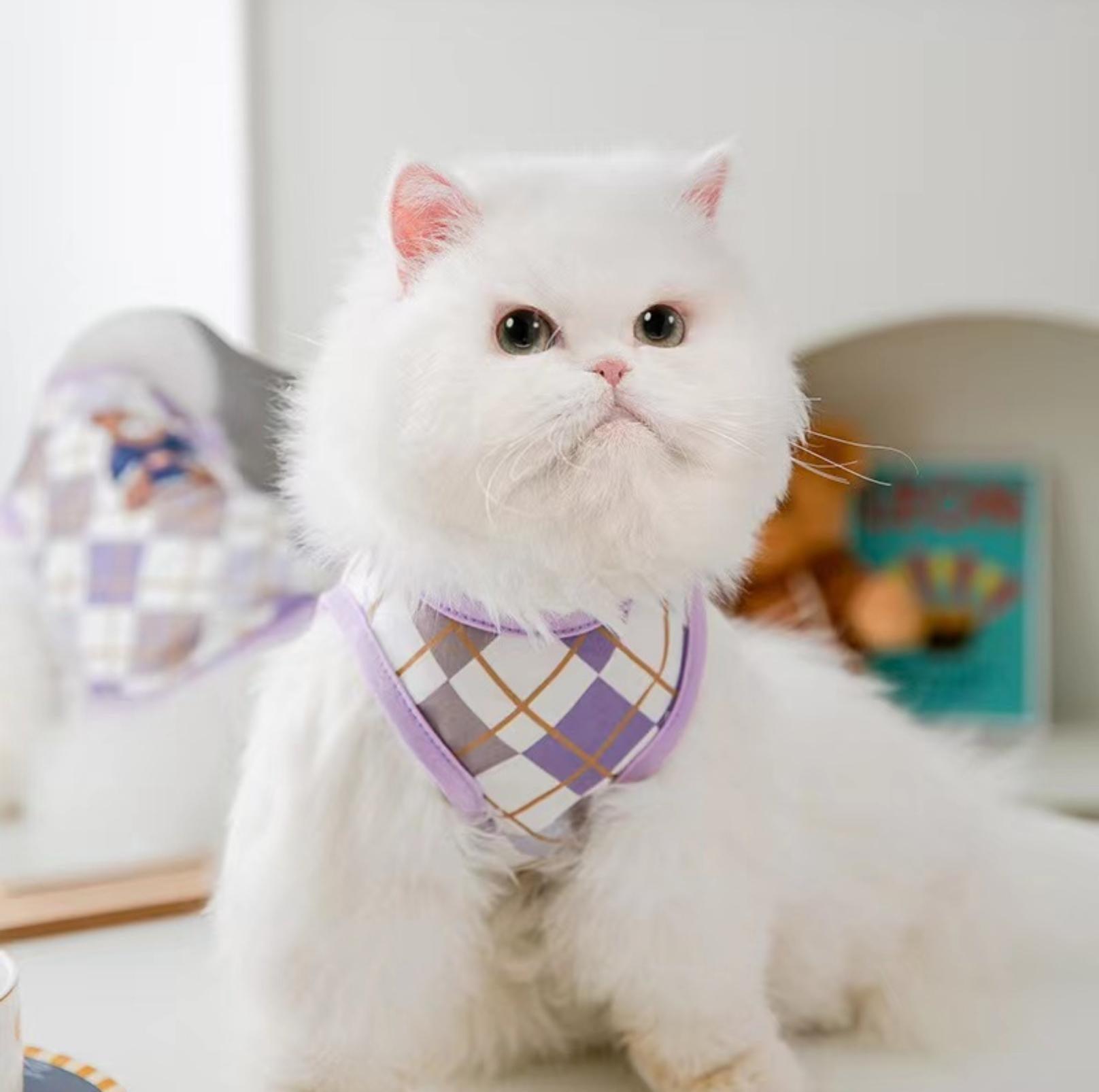 Purple Checkered Bear Print Summer Pet Vest