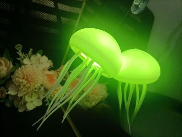 Voice Controlled Jellyfish Lamp