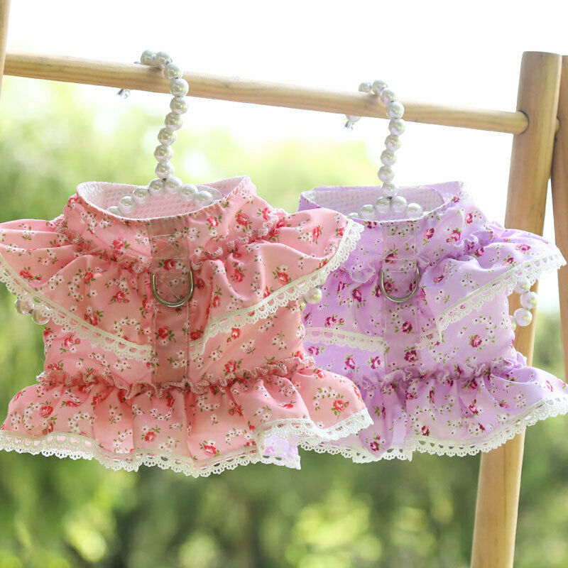 Cute Vest Harness And Leashes