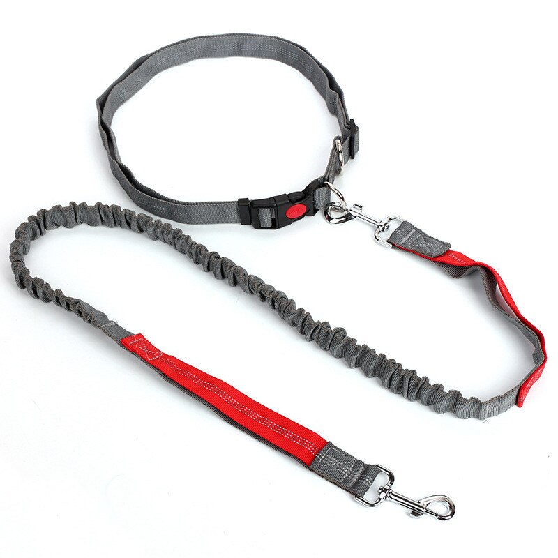 Free Hand Running Dog Belt