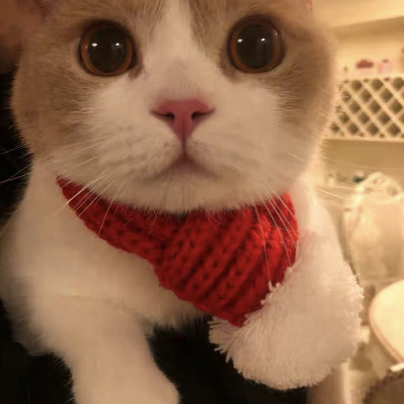 Fashion Yarn Christmas Color Block Pet Scarf