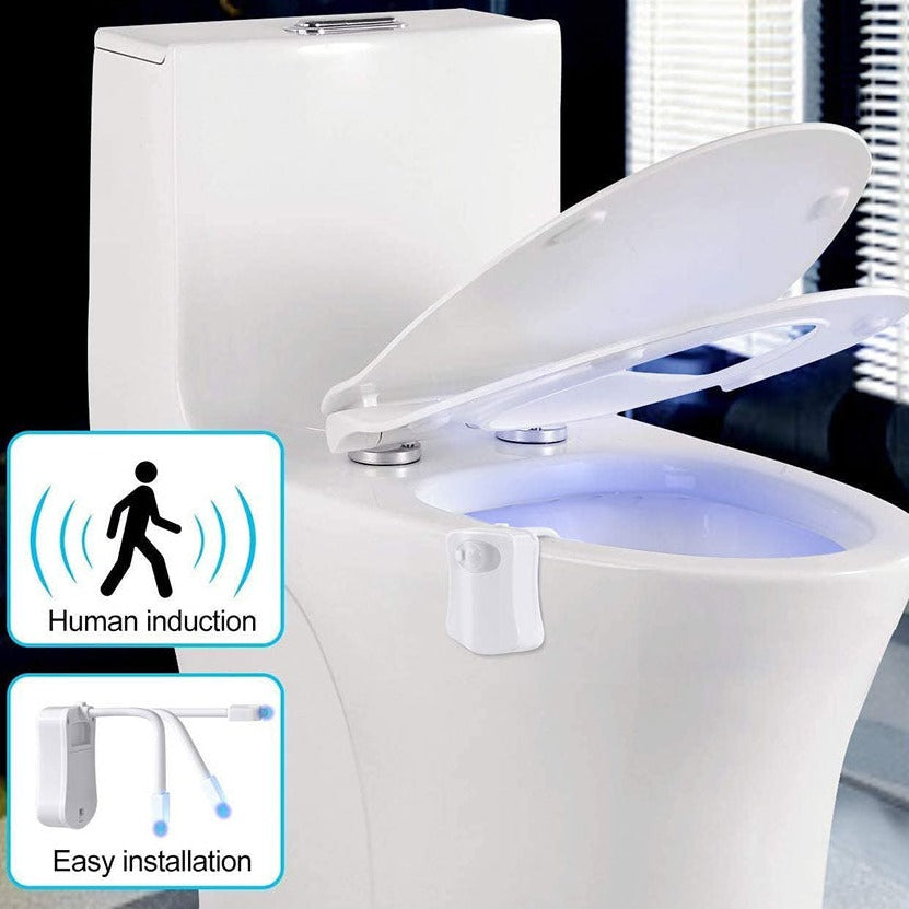 Toilet Night Light With Motion Sensor