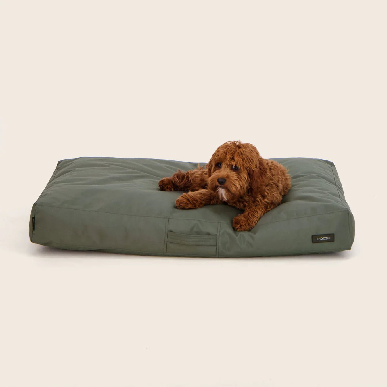 Modern D1000 Outdoor Dog Bed - Eucalyptus