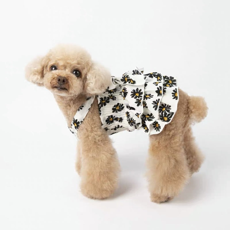 Daisy Printed Dog Cat Chiffon Dress