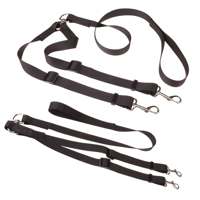 Double Dog Leash