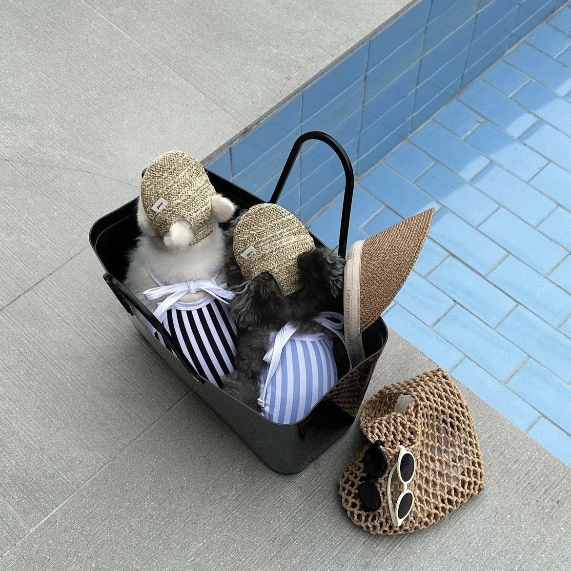 Striped Printed Dog Swimsuit