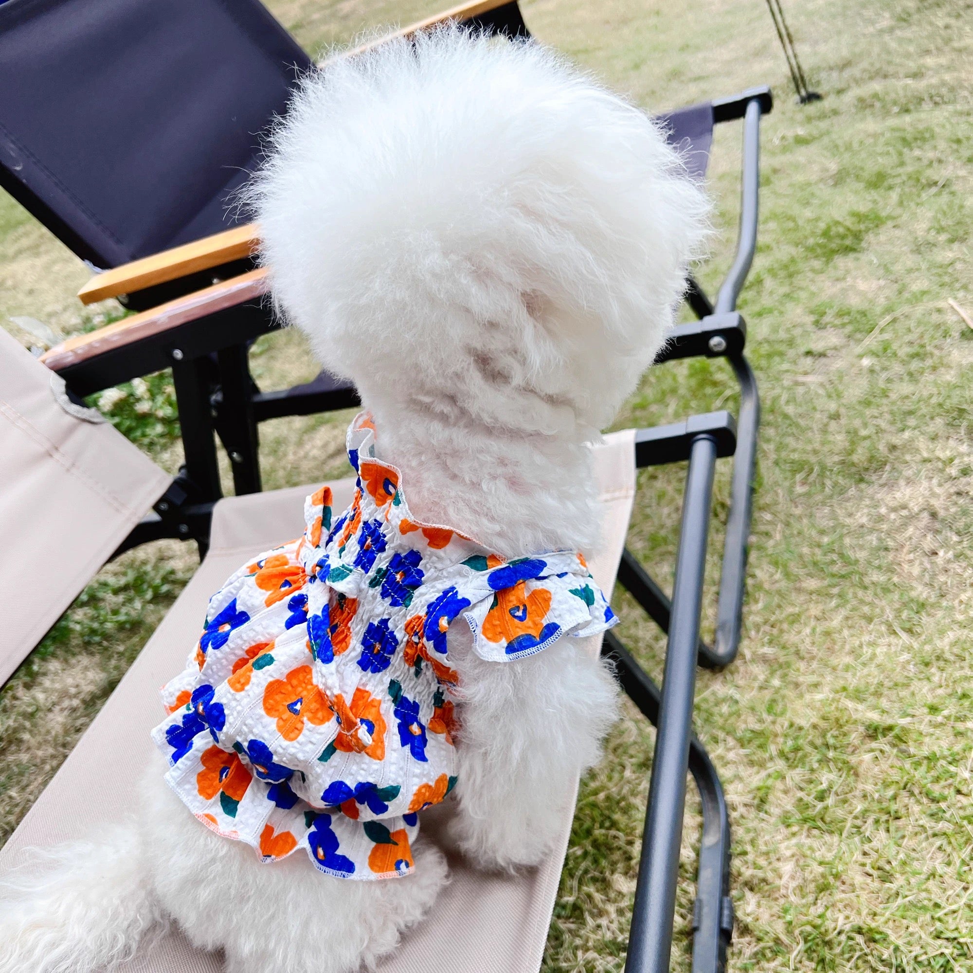 Breathable Sweet Floral Dog Cat Dress