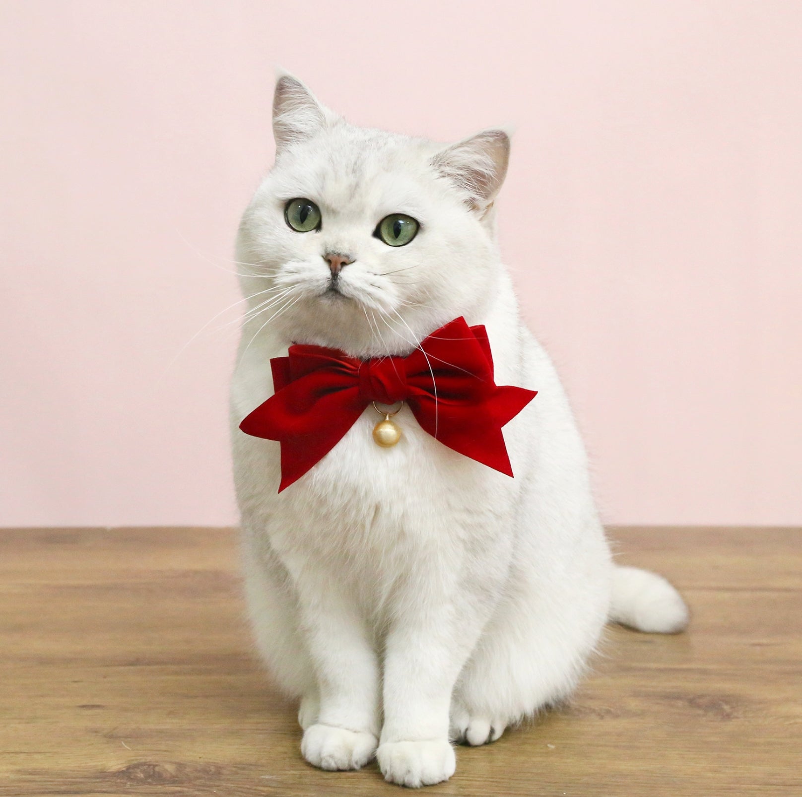 Velvet Bowtie Birthday Collar for Pets - Red with Bell