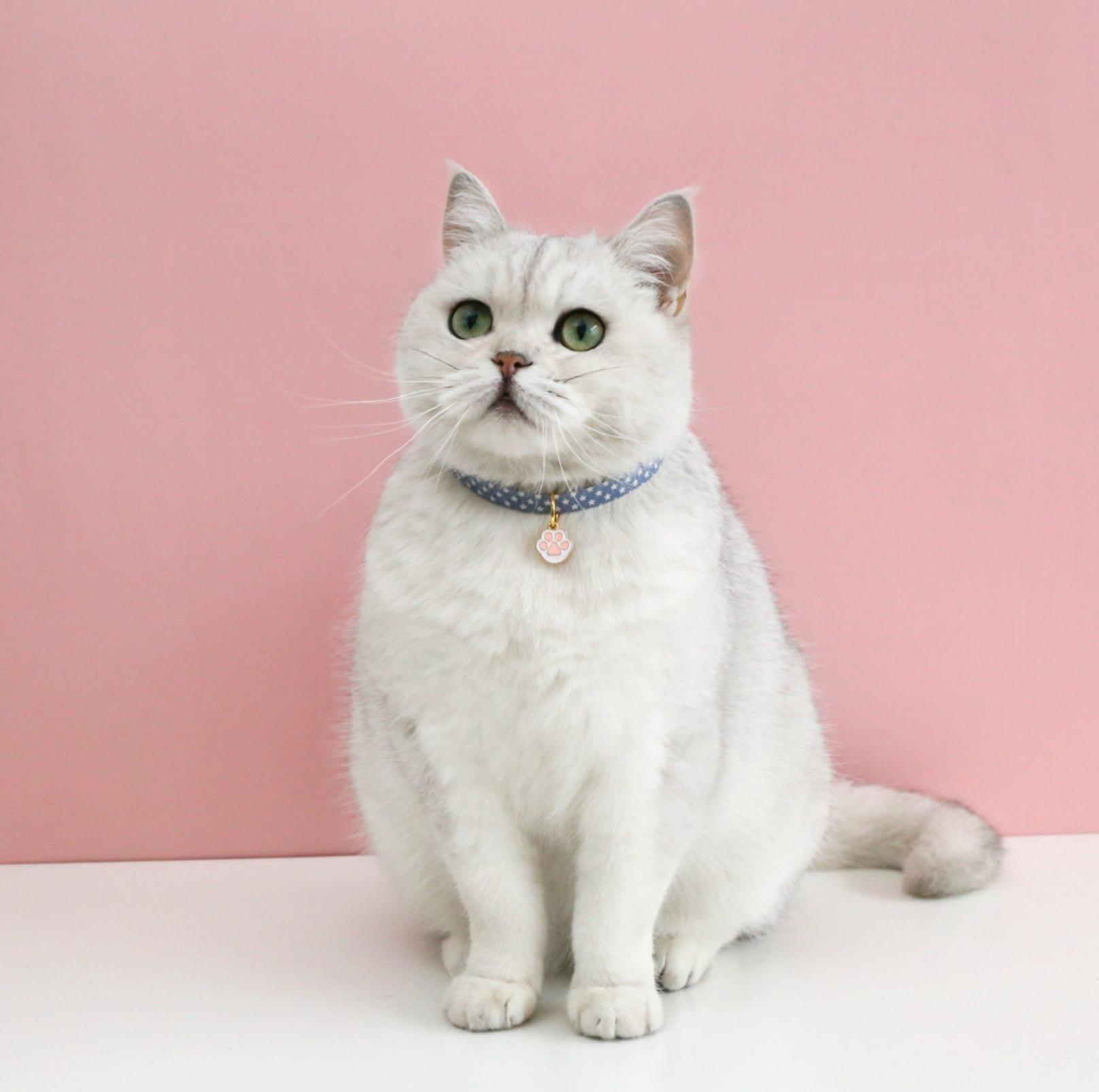 Adjustable Pet Collar with Lovely Charm and Copper Bell for Cats and Small Dogs