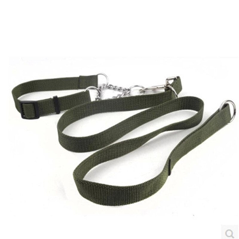 Pet Dog Collar Leash Set