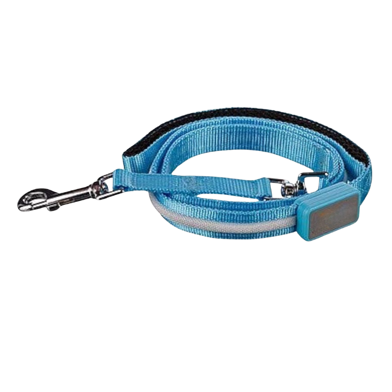 Pet Leash With USB Lighting