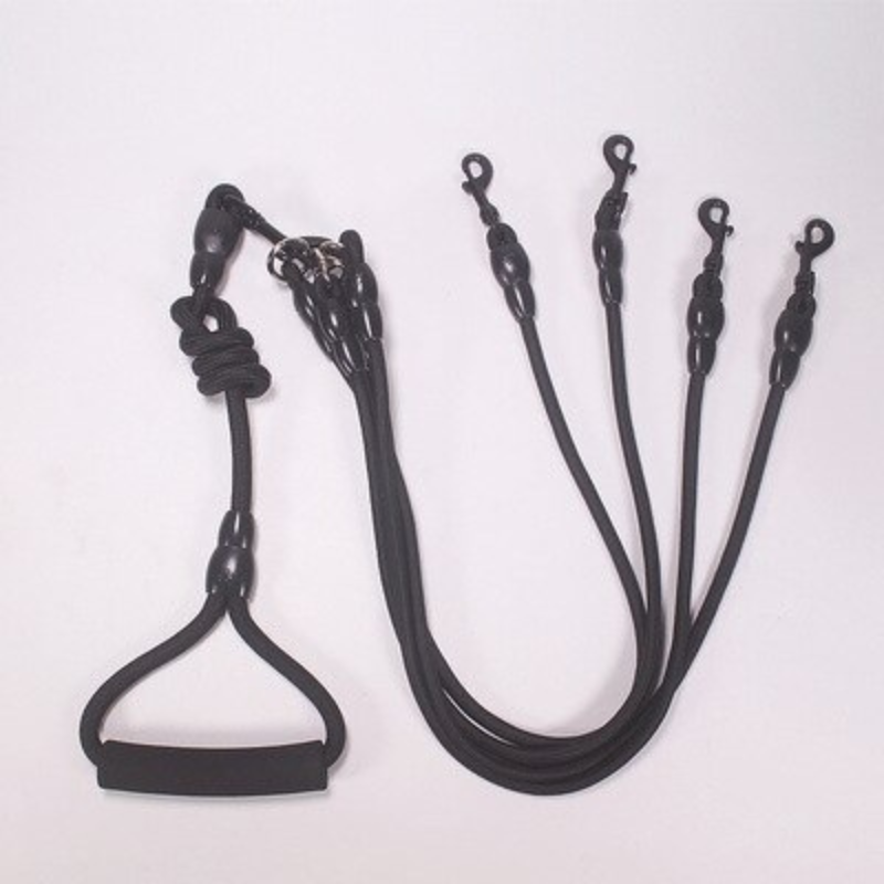 Nylon Rope Two Heads Dogs Leash