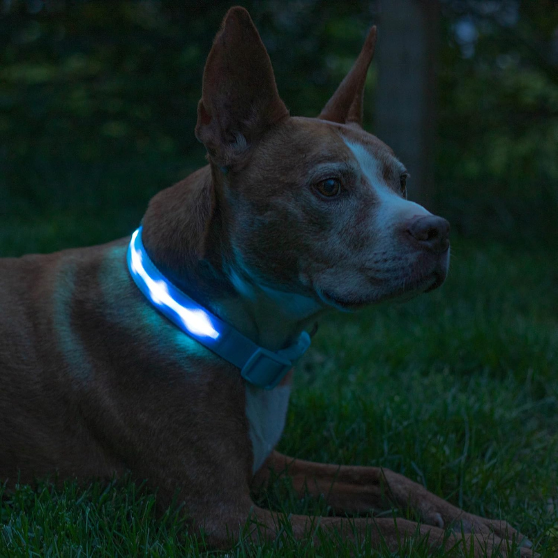Adjustable Strap Design Dog Leash With LED Lighting