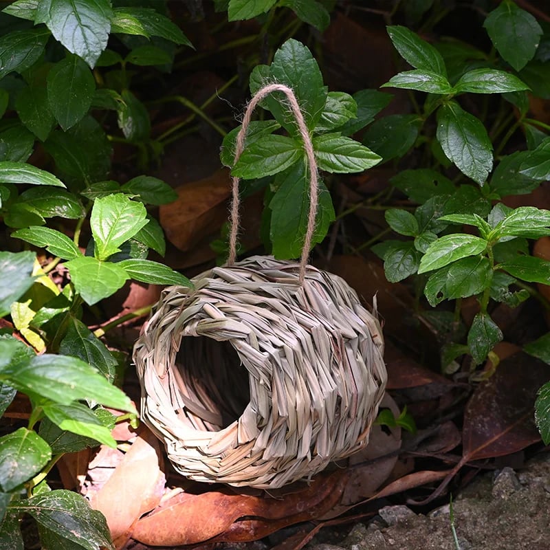 💲49% OFF-🐦Hummingbird Nest House