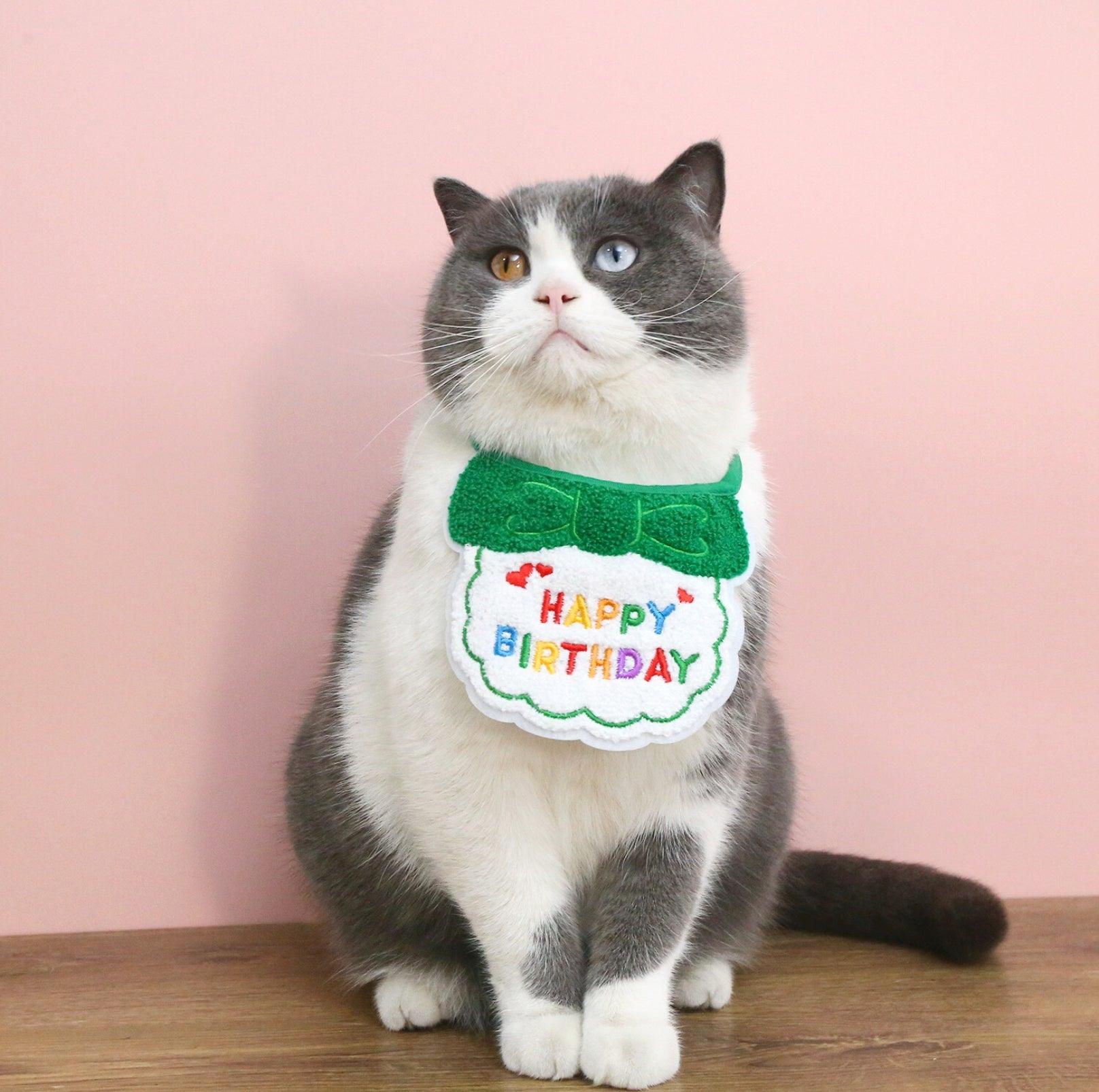 Pet Birthday Ensemble - Embroidered Hat & Bib Accessory Pack