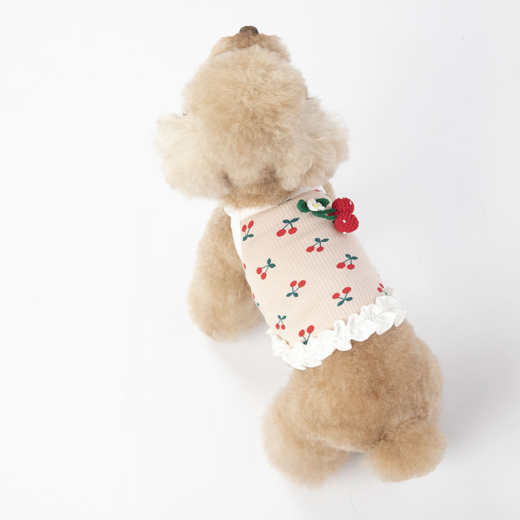 Sweet Cherry Decor Short Dog Cat Vest