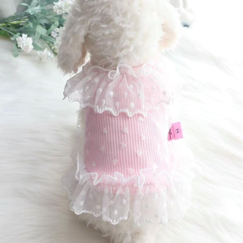 Heart Printed Lace Dog Cat Dress
