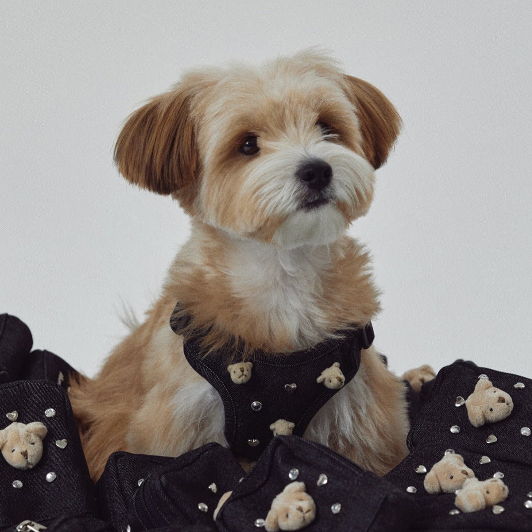 Bear Decor Denim Dog Harness/Collar/Bag