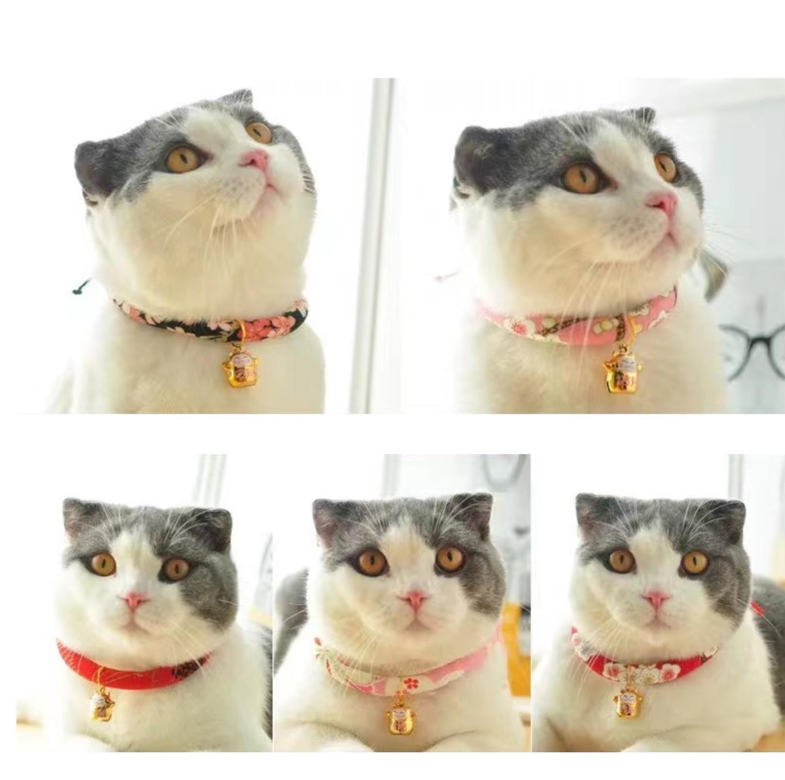 Japanese Style Flower Fusion Pet Collar