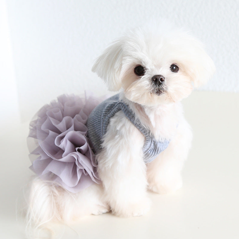 Multi-color Cotton Dog Cat Lace Dress