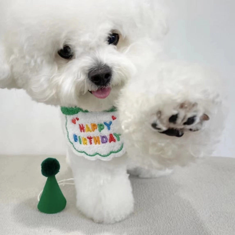 Dog Dog Party Birthday Hat Bib Dog Cat Pet Slippery Bag Slippery Towel Bichon Pet
