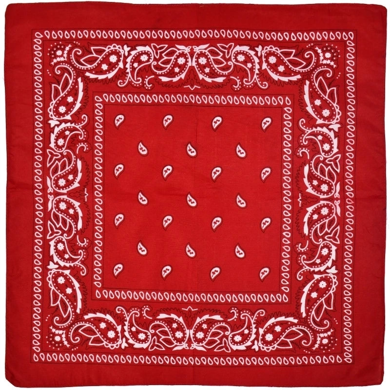 Unisex Hip-hop Paisley