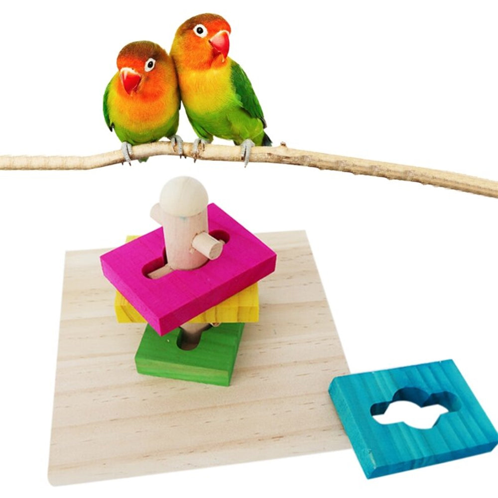 Trick Training Puzzle Toy For Birds