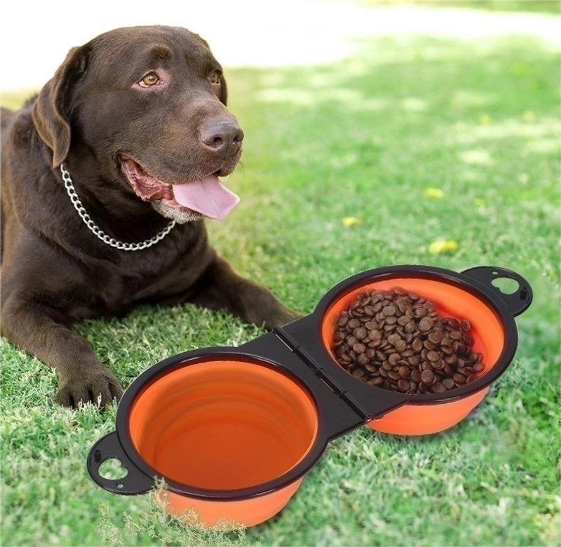 Minimalist Silica Gel Color Block Pet Tableware