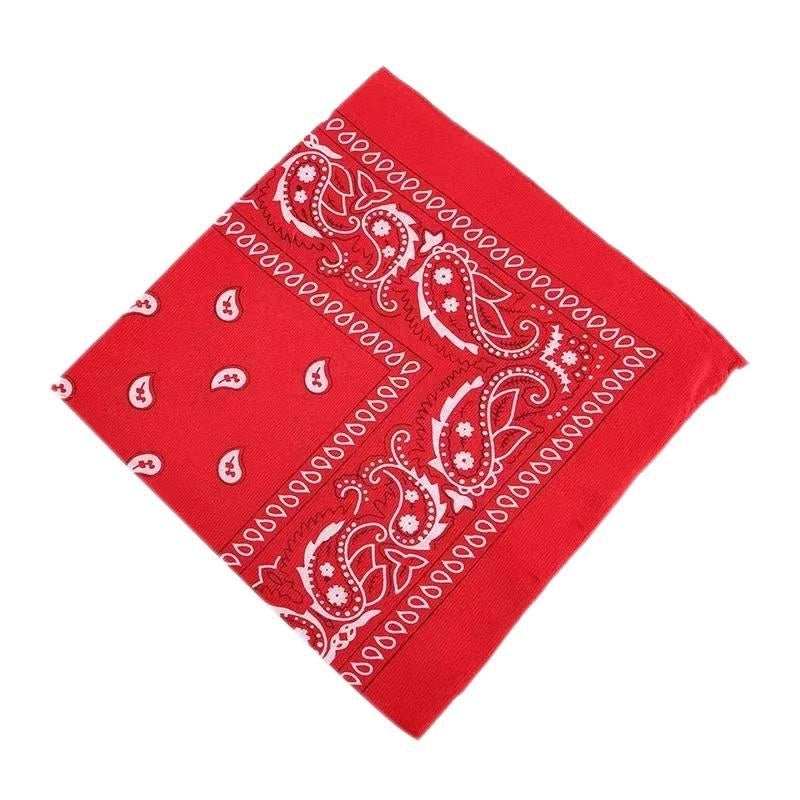 Supply Spot Batch Of Polyester 21g Cashew Flower Scarf Paisley Hip-hop Hip-hop Outdoor Polyester