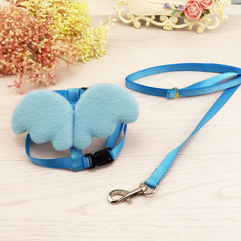 Cute Angel Pet Dog Leashes And Collars Set