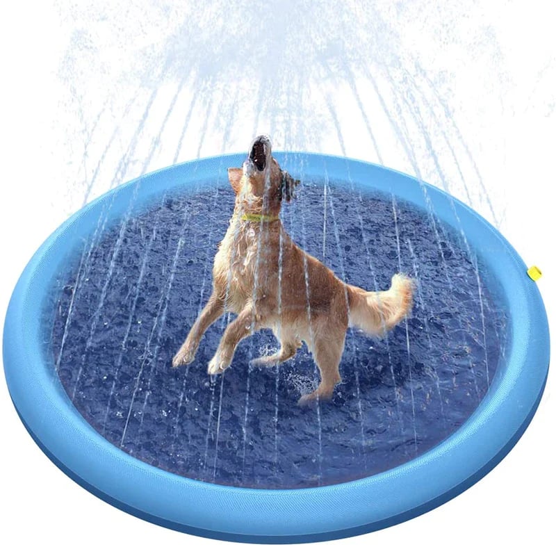 Dog Splash Pad