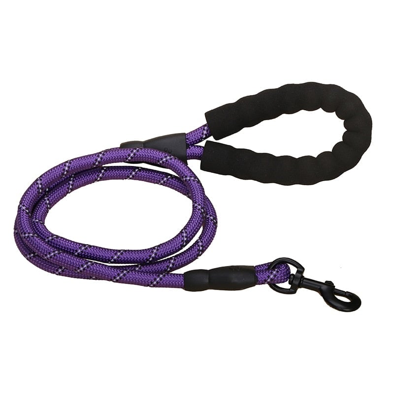 PawGrip Pro Leash