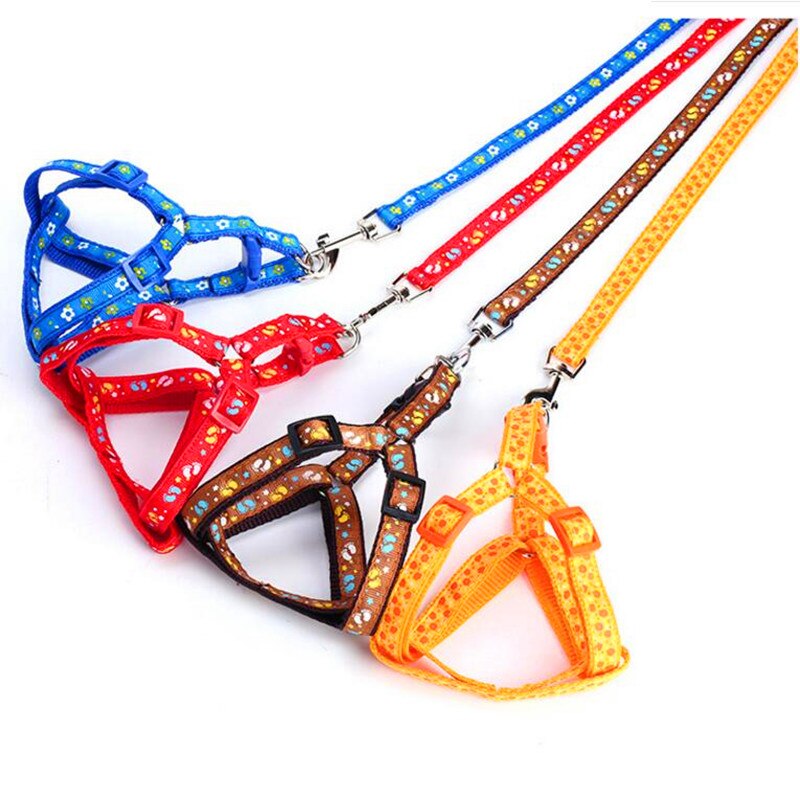 Stylish Dog Harness And Leash Set
