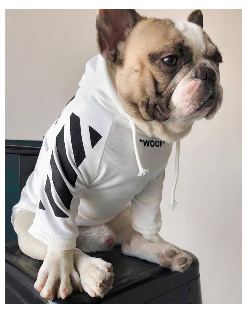 Striped Pattern Dog Hoodie