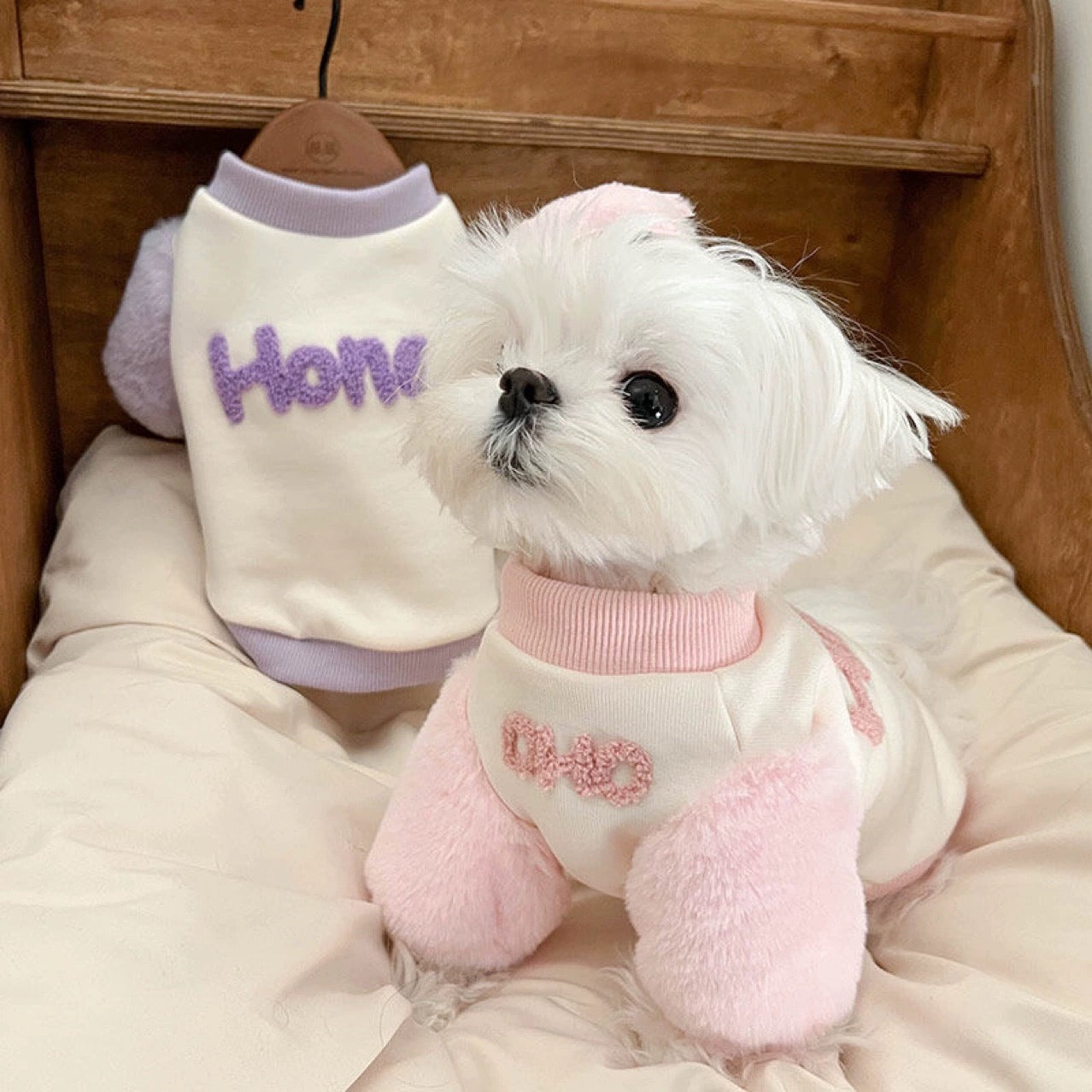 Cute Honey Printed Dog Cat Hoodie