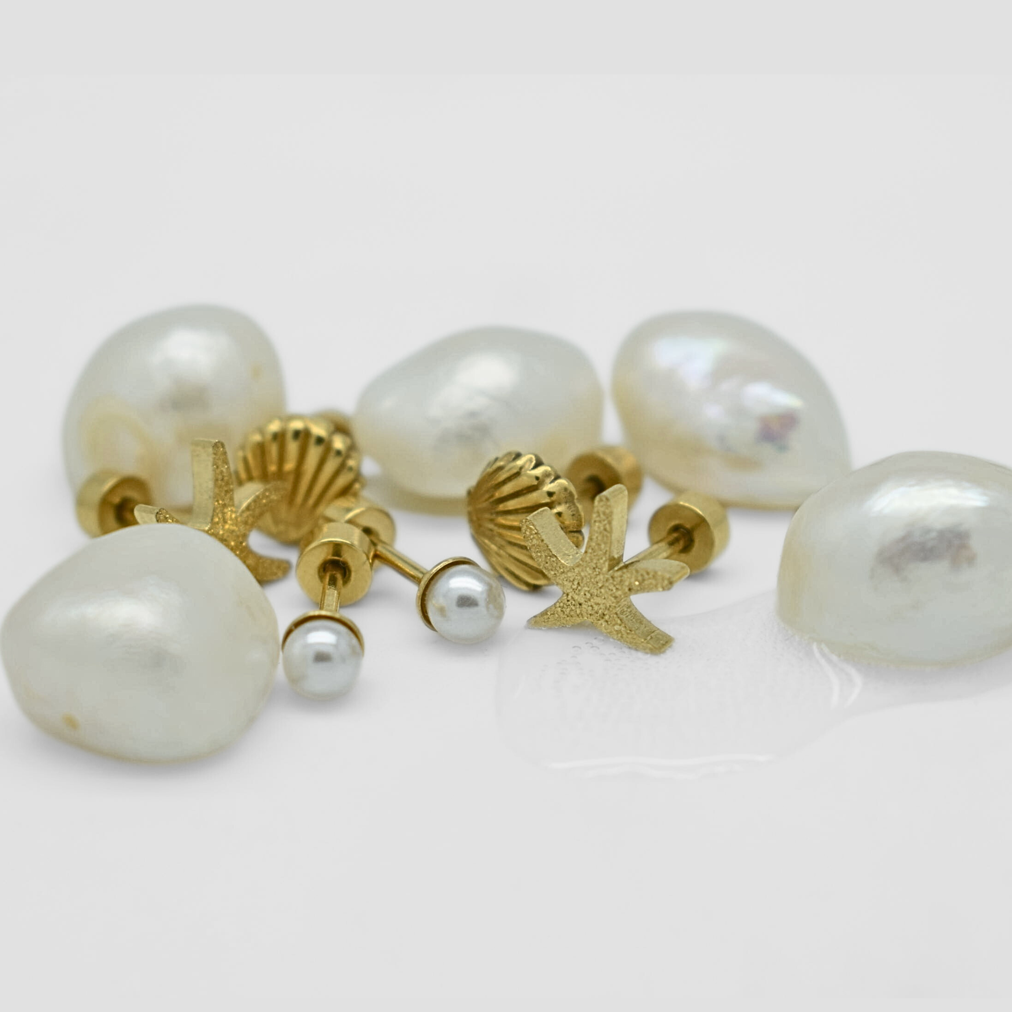 Shell studs - Gold
