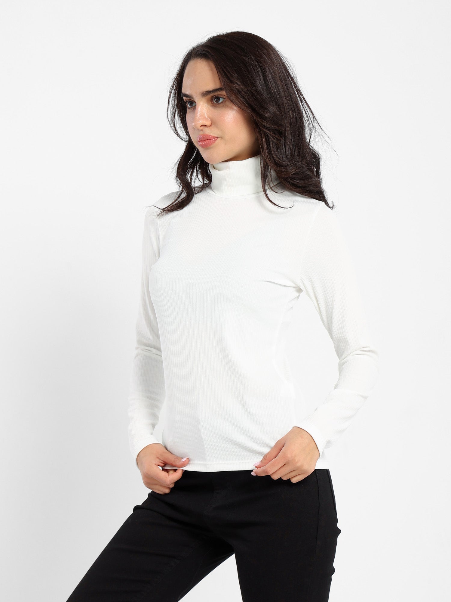 Turtle Neck Long Sleeves Top
