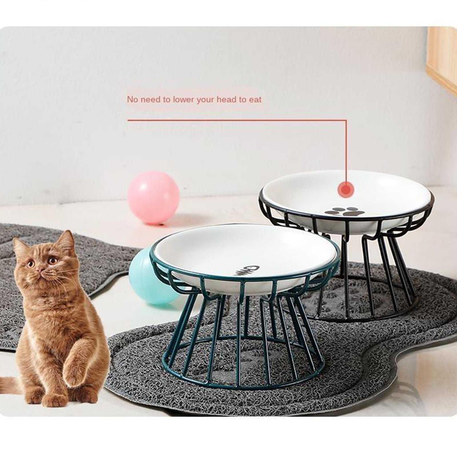 🥣Whisker-Friendly Anti-Vomit Cat Plate📦Buy 2 FREE SHIPPING