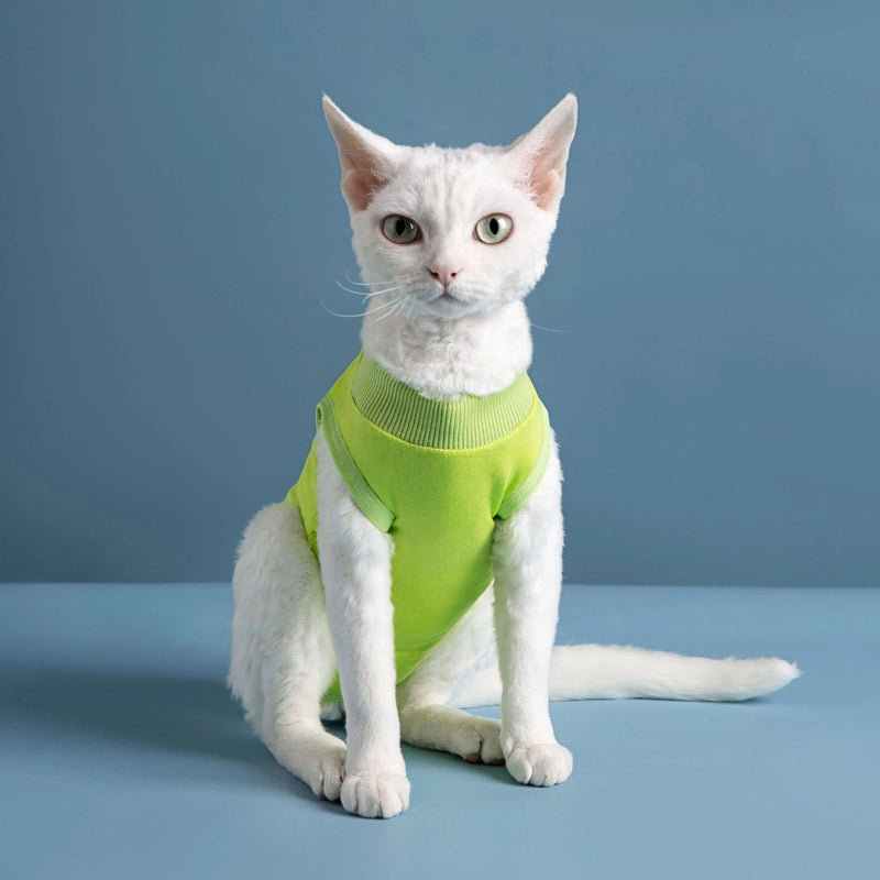 Pet Supplies Cat Clothes After Sterilization Clothing Anti-licking Soft Super Elastic Comfortable Pet Clothes Outlet