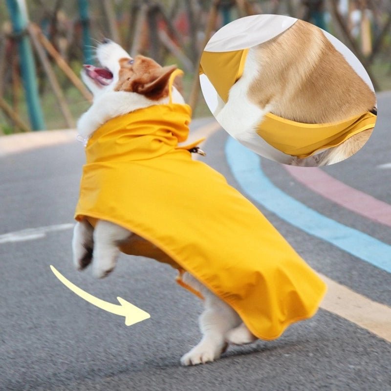 Casual Pu Leather Solid Color Pet Clothing