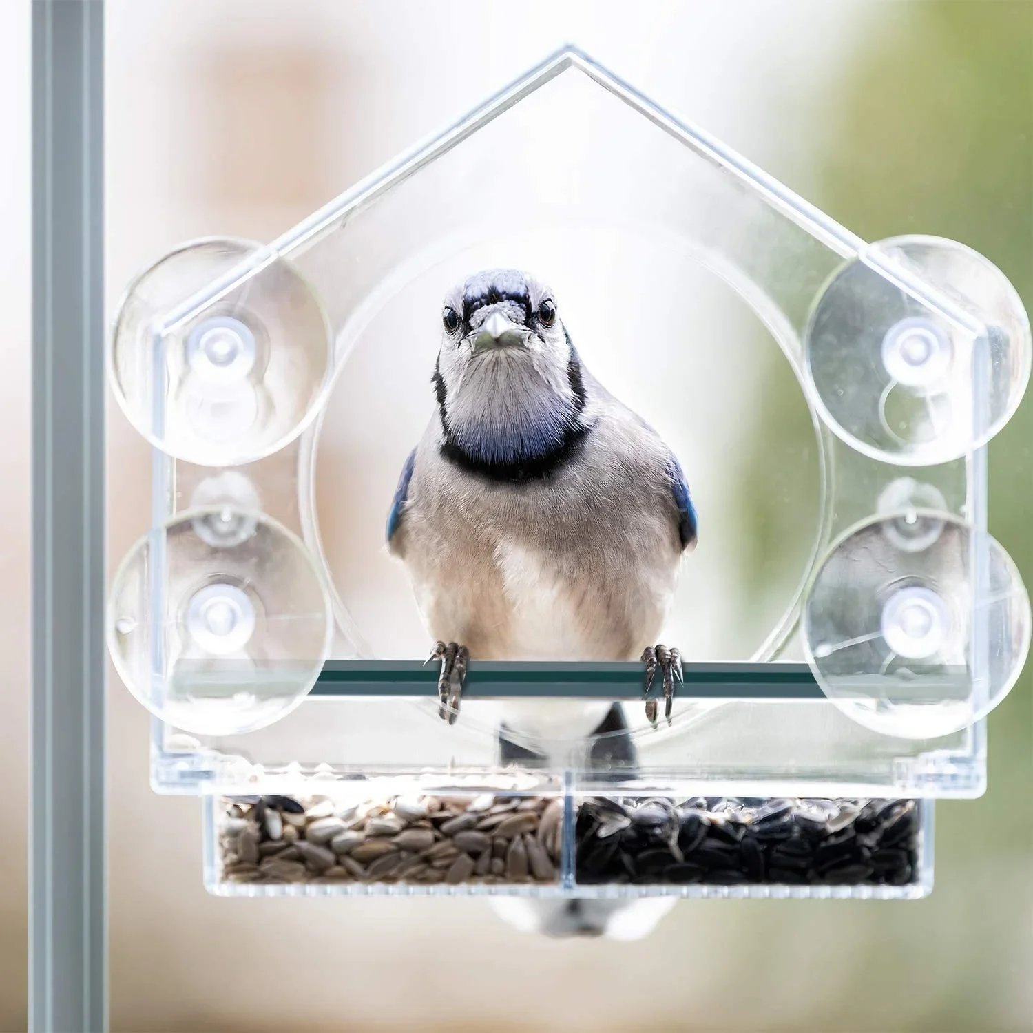 Hot sale--Window Bird Feeder for Outside🔥BUY 2 FREE SHIPPING🔥