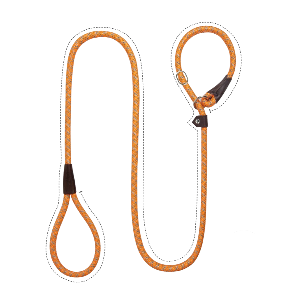 Sturdy Slip Training Leash