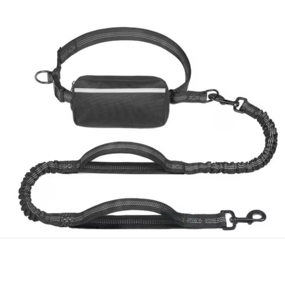 Reflective Bungees Running Dog Leash