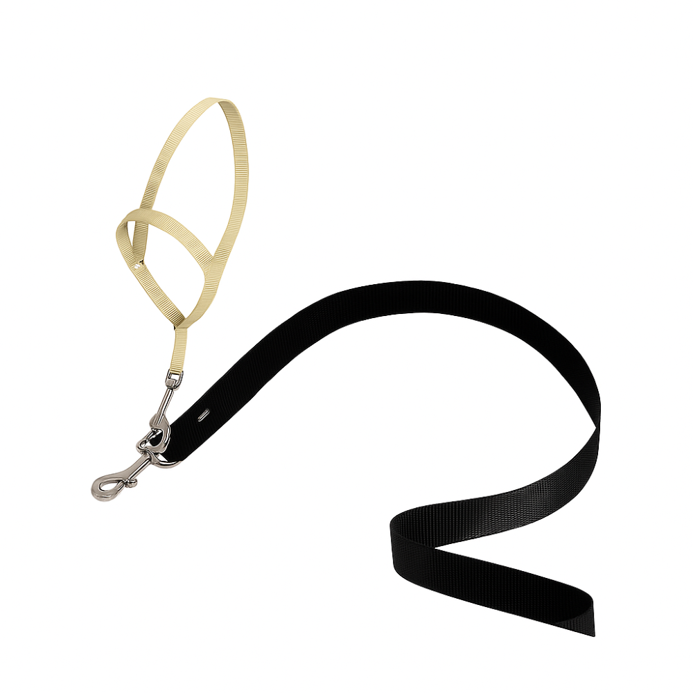 Adjustable No Pull Dog collar