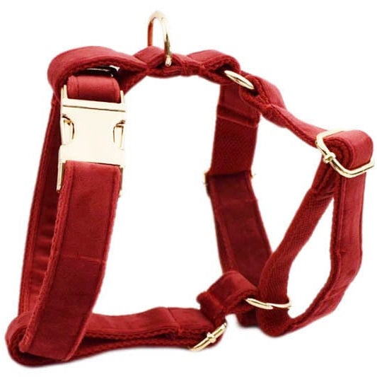 Velvet Personalized Dog Harness Collar Leash