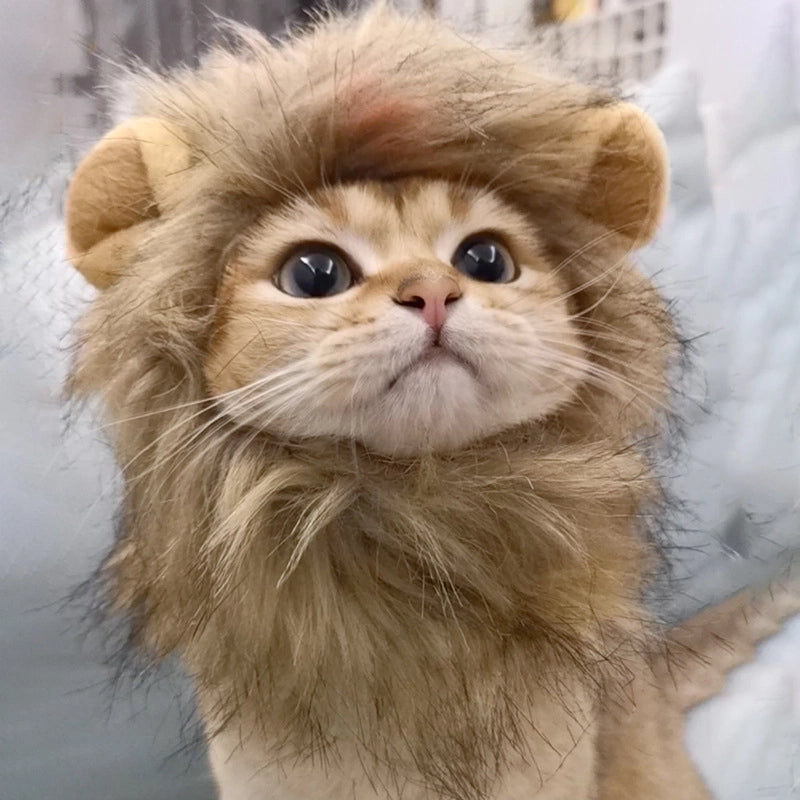 Cartoon Style Polyester Animal Pet Hat