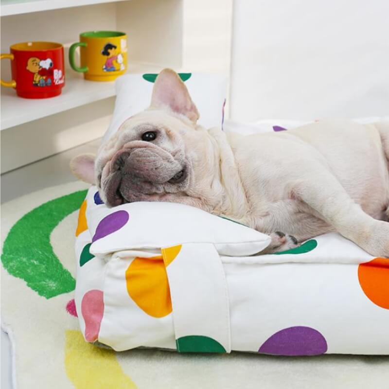 Colorful Dot Cozy And Playful Pillow Bed Calming Dog Bed