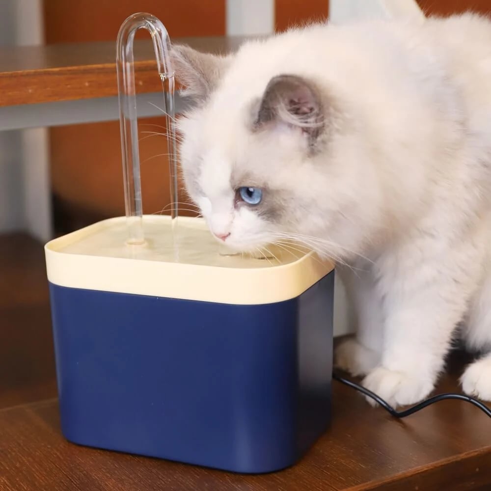 Cat Water Fountain💦Safe Material for the Cleanest Water