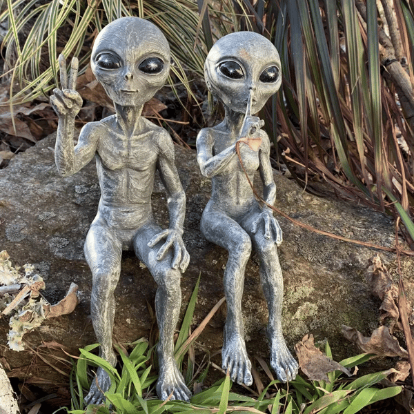 👽Outer Space Alien Dude and Babe Shelf Sitters