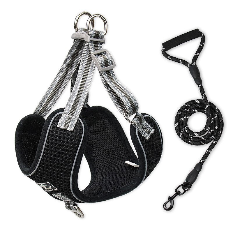 Breathable Pet Harness And Leash Set